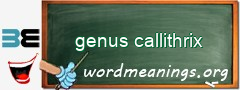 WordMeaning blackboard for genus callithrix
